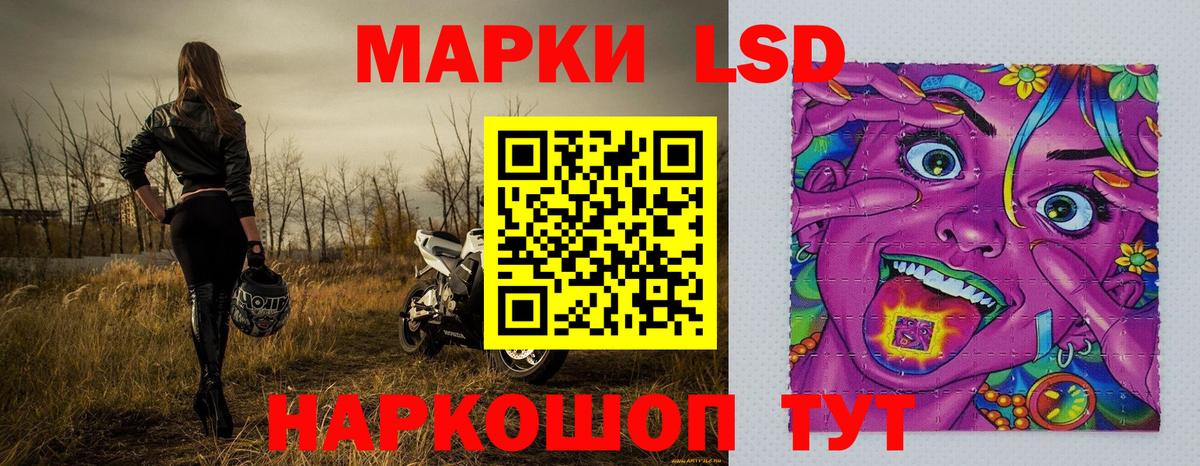 НБОМе  ГАШИШ  Вход с VPN  ТГК  А ПВП СК   ГАШ  Где купить наркотики?  Меф МЯУ МЯУ кристаллы  Марихуана  Казань  КОКАИН 