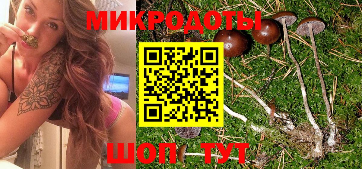 Галлюциногенные грибы GOLDEN TEACHER  Вход с VPN  Галлюциногенные грибы мицелий  Казань 